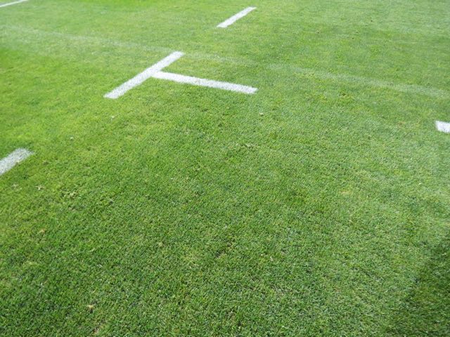 Guimarães Rugby_GRUFC